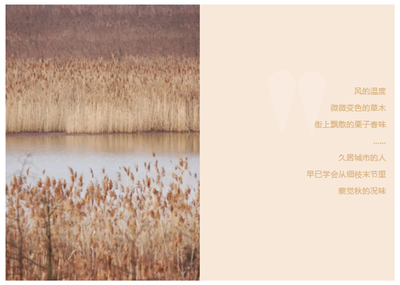 CIELOBLU | 基路伯「奶咖色」，为生活注入一份甜(图1)